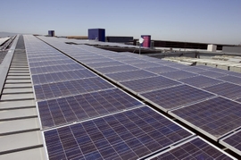 Kazakhstan Makes Headway in Green Economy Transition With Launch of Solar Plant