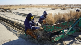 Kazakhstan Plans To Bring Aral Sea’s Landscape Back To Life
