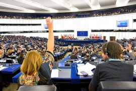 European Parliament Backs Ukraine’s Appeal for EU Membership