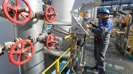 Gazprom Halts Gas Flow to Europe via Poland