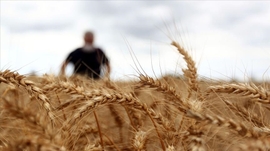 Russia, Ukraine Make Headway in Resolving Food Crisis