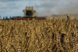 Russia Threatens to Withdraw from Grain Export Deal
