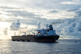 US Sanctions UAE Companies, Vessels for Violating Russian Oil Price Cap